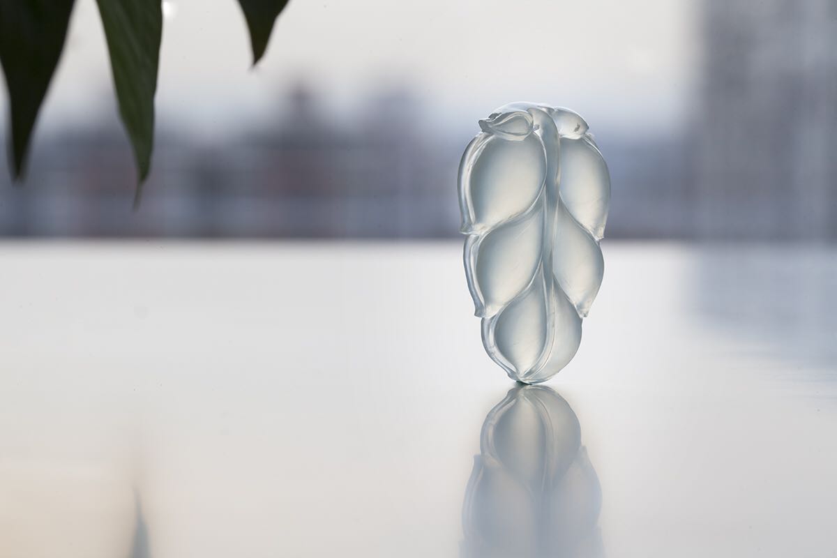 金枝玉叶1.jpg